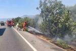 Ula’da yol kenarında başlayan alevler korkuttu