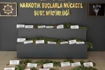 UNESCO Dünya Mirası Listesi’ndeki Hevsel Bahçeleri’nde uyuşturucu ele geçirildi