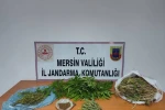 Uyuşturucu taciri yakalanıp tutuklandı 
