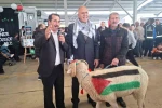 Üzerinde Türkiye ve Filistin bayrakları çizili olan koç, Filistinliler için açık artırmaya çıkarıldı 