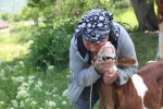 Üzümlü’de yabancı gelin hayvancılığa renk kattı 