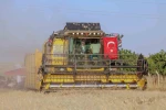 Vali Akkoyun: ’’Mardin’de 1 milyon 279 bin dekarlık alanda buğday ekimi yapıldı’’