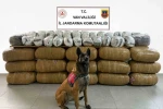 Van’da yarım tona yakın uyuşturucu ele geçirildi 