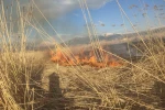 Van’ın Muradiye ilçesinde sazlık yangını 