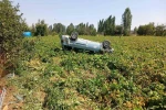 Virajı alamayan otomobil devrildi: 1 yaralı