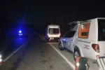Yabani hayvana çarpan hafif ticari araç şarampole uçtu