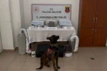 Yalova merkezli 3 ilde göçmen kaçakçılığı operasyonu: 3 tutuklama 