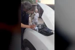 Yalova’da otomobile sıkışan minik kedinin yardımına itfaiye ekipleri yetişti