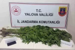 Yalova’da uyuşturucu operasyonu: 3 gözaltı