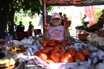 ’Yamanlar Tarla Domatesi’ üreticileri ’Tarla Günü’ etkinliğinde buluştu