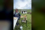 Yaylada Sedriye ninenin sofrasına oturan tilki, ikram edilen ekmeği yemedi 