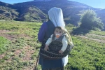 Yaylalarda başlayan emek, Erzincan tulum peyniri olarak sofralara ulaşıyor 