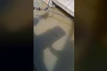 Yeşilköy’de balıkçı barınağından denize atık su deşarjının görüntüleri ortaya çıktı