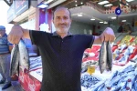 Yıllardır böylesi görülmedi: Karadeniz’den palamut fışkırıyor