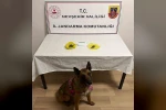 Yol kontrolünde uyuşturucu yakalandı 