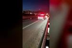 Yola çıkan atlar zincirleme kazaya neden oldu 