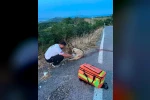 Yolda yaralı köpeğe ilk müdahaleyi sağlık ekipleri yaptı