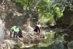 Yüceli vadisi ve şelalesinde temizlik seferberliği 