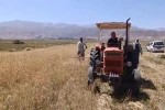 Yüksekova’da sıcak havaya rağmen çiftçilerin hasat mesaisi başladı
