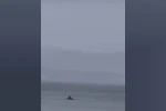 Yunus ailesi Mudanya’da yağmur altında görüntülendi 