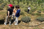 Yunusemreli minikler Ortaköy’de doğayla buluştu 