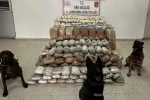 Zehir tacirlerine geçit yok: Tır ve kümeste 324 kilo uyuşturucu ele geçirildi 