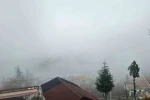 Zonguldak’ta sis etkili oldu 