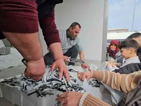 1 ton hamsi 15 dakika da tükendi
