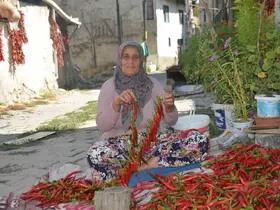 160 yıldır aynı tohumdan acı biber üretiyorlar
