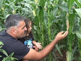20 yıl sonra Rusya’dan memleketine döndü, ata tohumunu yeniden yaşattı
