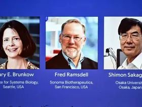 2025 Nobel Tıp Ödülü, Brunkow, Ramsdell ve Sakaguchi’nin oldu
