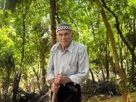 31 yılda 25 bin ağaç dikerek, kurak araziyi oksijen sahası yaptı
