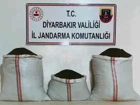 470 kilo skunk ve 85 kilo esrar ele geçirildi
