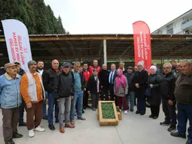 500 bin ata tohumundan üretilen fideler toprakla buluşuyor
