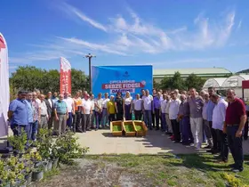 77 bin 400 fide toprakla buluşmak üzere çiftçilere dağıtıldı
