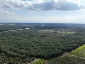 "81 İlde 81 Orman" projesi ilkbahar dikimleriyle devam ediyor
