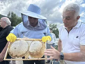 AB tescilli Yenice ıhlamur balında hasat başladı
