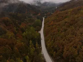 Abant yolunda sonbahar güzelliği dronla görüntülendi
