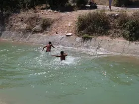 Adana sıcağına dayamayan gençler "Yüzme bilmeyen girmesin" diyerek ölüm tehlikesine aldırmadılar
