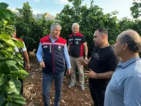 Adana’da dolu vuran tarım arazilerinde incelemeler başladı
