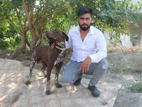Adana’da köpeğe sopayla şiddet güvenlik kamerasında
