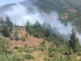 Adana’da orman yangını
