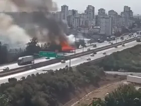 Adana’da otoyol kenarında otluk alan yangını
