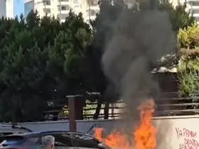Adana’da park halindeki araç alev alev yandı
