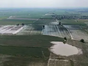 Adana’da tarım arazileri sular altında kaldı
