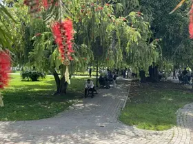 Adana’da termometreler 41 dereceyi gösterdi
