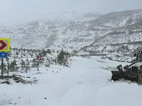 Adana’nın yüksek kesimlerinde kar yağışı etkili oldu

