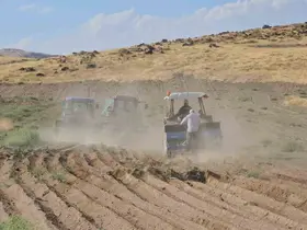 Adilcevaz’da buğday ekim sezonu başladı
