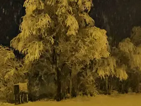 Adilcevaz’da kar yağışı beraberinde güzel görüntüler getirdi
