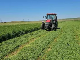 Adilcevaz’da ot biçme sezonu başladı
